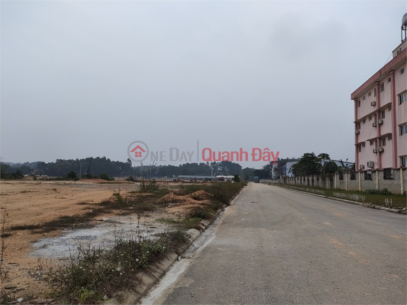 Property Search Vietnam | OneDay | Office / Commercial Property Sales Listings, Transfer of 20ha of warehouse land for 50 years in Dong Van Industrial Park, Ha Nam Province