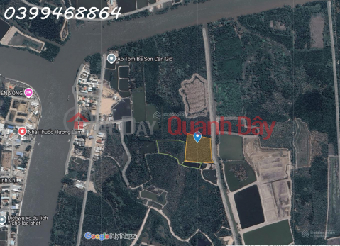 Urgent sale of beautiful land at the lowest price in An Thoi Dong area, Can Gio - 6,378m2 _0