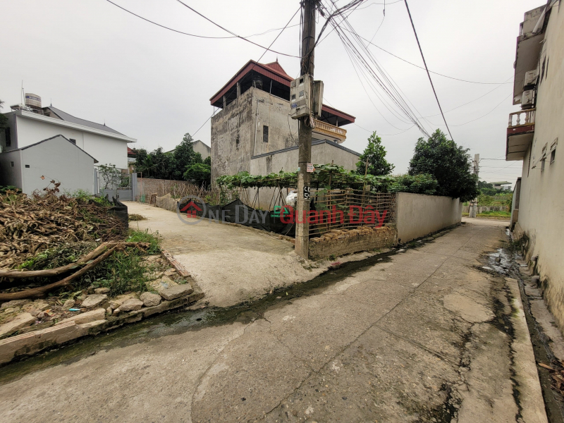 Property Search Vietnam | OneDay | Nhà ở | Niêm yết bán, Bán đất Cán Khê Nguyên Khê Đông Anh – 46.m Ô tô đỗ cửa