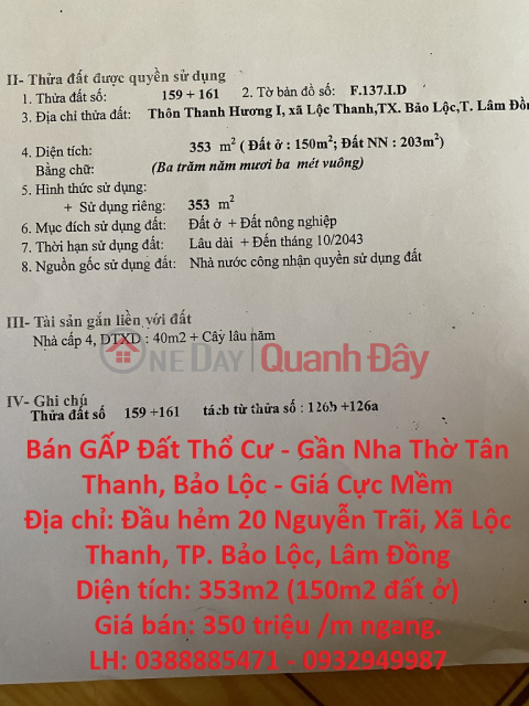 Bán GẤP Đất Thổ Cư - Gần Nha Thờ Tân Thanh, Bảo Lộc - Giá Cực Mềm _0