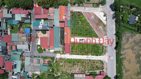 CORNER LOT FOR SALE OF AUCTION CORNER OF TRANG DUC TU FAMILY ON INTER-COMMUNE BUSINESS ROAD _0