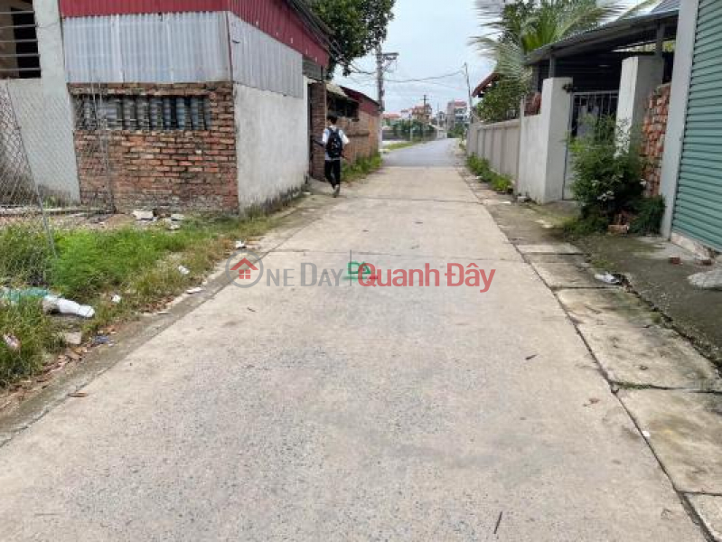 Land for sale in Van Noi Dong Anh commune 68.4m East West main road 7m Sales Listings