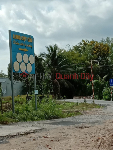 Property Search Vietnam | OneDay | Residential | Sales Listings, PRIME LAND - GREAT PRICE - URGENT SALE OF 2 ADJACENT LAND PLOTS WITH HIGH POTENTIAL IN Nhon Nghia Commune, Phong Dien District, Can Tho City