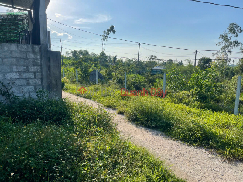 Land for sale with street frontage in Thuy Phuong., Vietnam | Sales | đ 195 Million