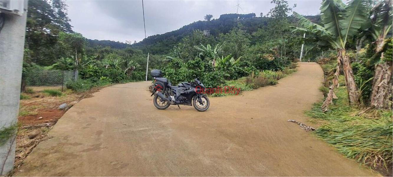 OWNER NEEDS TO SELL LAND LOT IN Tram Hanh Commune, Da Lat, Lam Dong Sales Listings