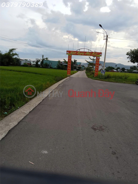 Property Search Vietnam | OneDay | Nhà ở, Niêm yết bán, Chính chủ cần bán 140m2 tại Thôn Đại Lễ, Phước Hiệp, Tuy Phước, giá đầu tư