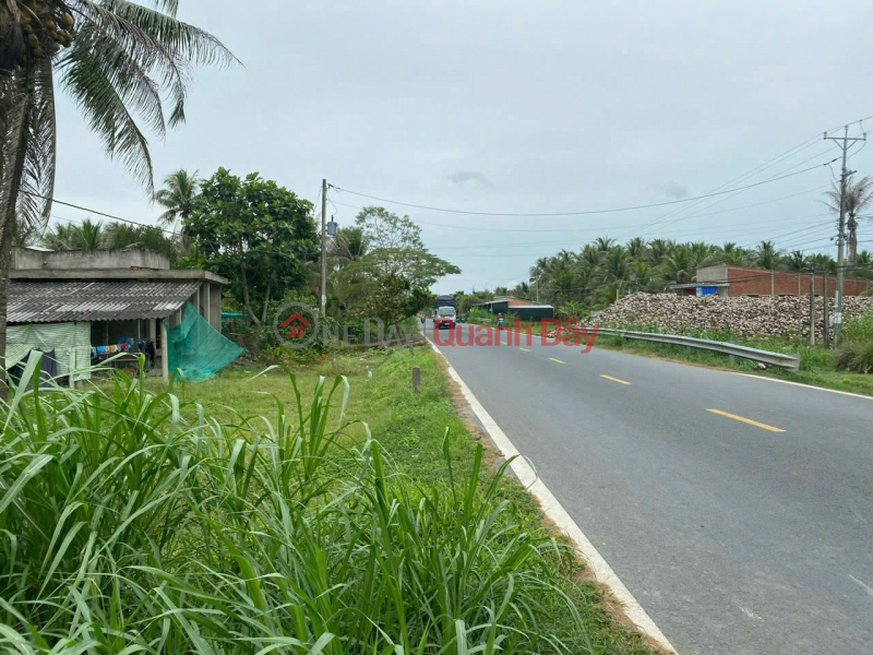 QUICK SALE Land with 2 Frontages on National Highway 60 - Co Chien River, Thanh Thoi B Commune, Mo Cay Nam, Ben Tre Vietnam | Sales | đ 32.5 Billion