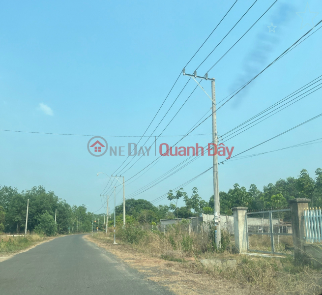Cheap Minh Thanh Chon Thanh Land. 220m2 Only 4xx, Vietnam | Sales đ 220 Million