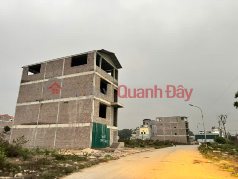 Bán Đất Tặng Nhà 3 Tầng Thô Khu Đô Thị Chi Đông, Mê Linh - Sổ Đỏ Sẵn Sàng _0
