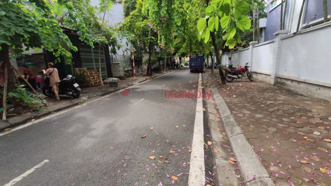 LAND FOR SALE IN CHU HUY MAN STREET, WIDE SIDEWALKS ON BOTH SIDES - HIGH TRI RESIDENTIAL AREA - STABLE CASH FLOW BUSINESS Sales Listings