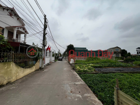 Bán đất đẹp Thư Phú, Thường Tín, Hà Nội - Gần ĐT427 - Vị trí thuận tiện kinh doanh và an cư _0