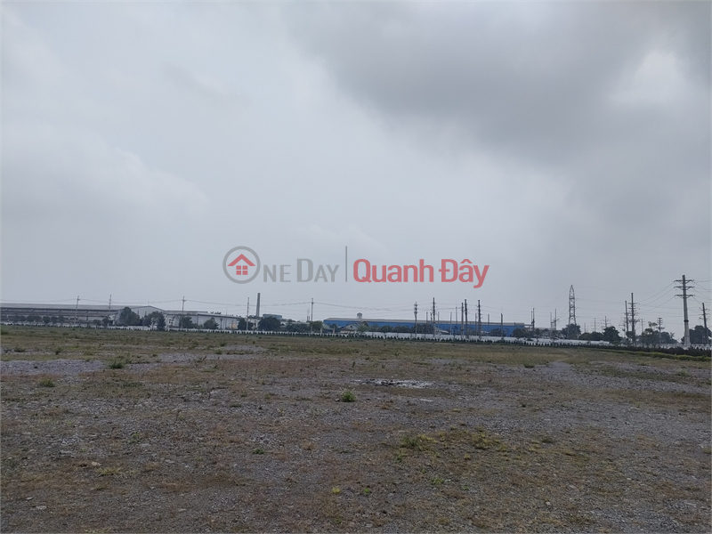 Selling 17ha of warehouse land for factories, Thanh Liem industrial zone, Ha Nam province | Vietnam Sales, đ 700 Million