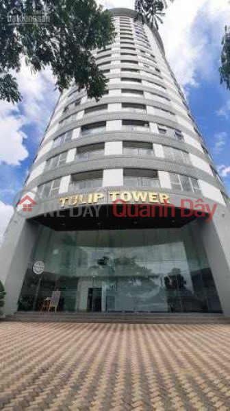 Cần bán căn hộ Tulip Tower 2 phòng ngủ, 2 WC . Niêm yết bán