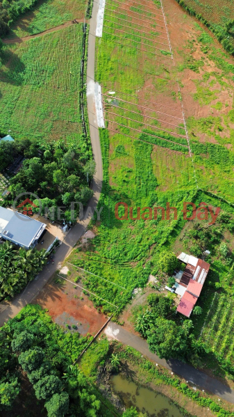 Urgent Sale: 5.3 x 25 meters, widening to 7 meters at the rear - Bau Chinh (new Kim Long commune),Ho Chi Minh City Sales Listings
