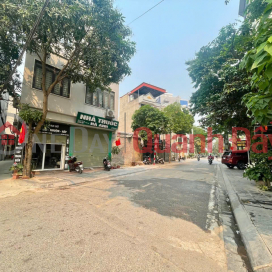 46M² ĐẤT THẠCH BÀN – Ô TÔ – GẦN AEON LONG BIÊN – GIÁ 10,X TỶ CỰC HIẾM _0