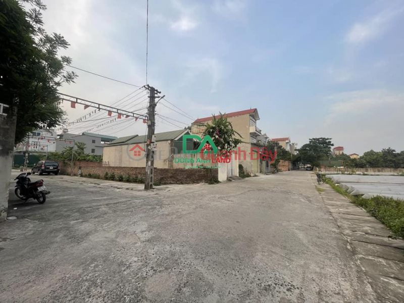 Land for sale at auction in Van Noi commune, Dong Anh district, Tho Bao village 115m, price 3X | Vietnam, Sales đ 4.6 Billion