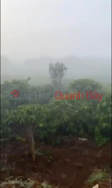 Big discount of 1 billion! 1.1Ha Corner Land, 12m Road - Phuc Tho Commune, LD, Vietnam Sales | đ 11 Billion