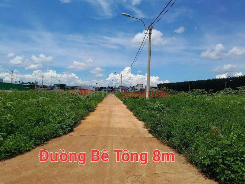 Need to transfer land with full book, residential Phu Loc - Krong Nang - Dak Lak | Vietnam Sales | đ 660 Million