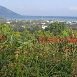 QUICK SALE: 2 PLOTS OF LAND IN VINH LUONG. Price: 250,000 VND\/m² _0