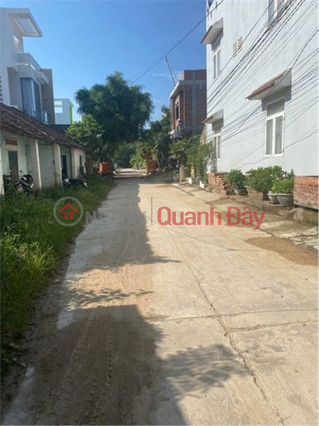 BEAUTIFUL LAND - GOOD PRICE - For Sale 2 Adjacent Lot In Cat Tan Commune, Phu Cat District, Binh Dinh Province Sales Listings