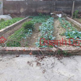Bán đất Tráng Việt - Mê Linh - HN. Full thổ cư, oto đỗ. Gần cầu Thượng Cát. Cơ hội đầu tư đẹp _0
