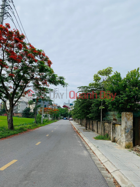 Selling cheap land in Bac Hong, Dong Anh, beautiful area Sales Listings