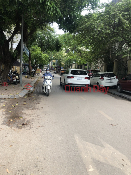 Property Search Vietnam | OneDay | Residential | Sales Listings, Super product divided into plots 30m from Phung Hung street.