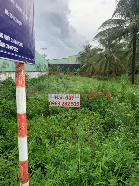GOOD LOCATION - INVESTMENT IS PROFITABLE - Owner Sells Land Lot on National Highway 57, An Dinh Commune, Mo Cay Nam, Ben Tre _0