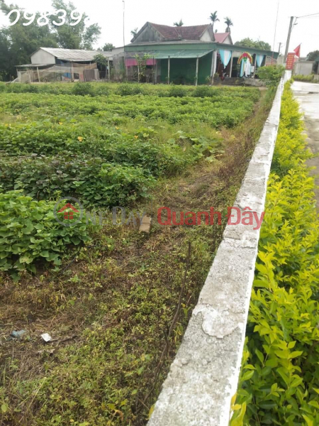 Owner needs to sell 850m2 of land in Thach Ha Town, Ha Tinh, investment price | Vietnam, Sales, ₫ 1.8 Billion