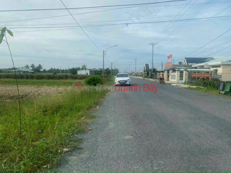 ₫ 2.5 Billion | Urgent sale at low price of Tan Tru land with two frontages near Highway 50B for 2.5 billion