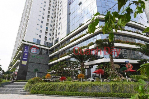 Cho thuê văn phòng DT 270m2 tại tòa Ecolife Capitol Tố Hữu với không gian xanh và tiện ích đầy đủ _0