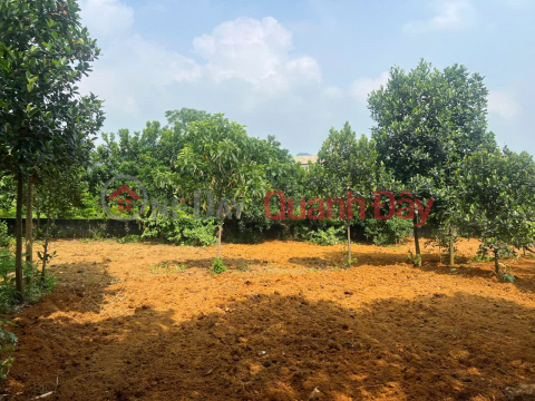BEAUTIFUL LAND - GOOD PRICE - Need to Sell Quickly Land Lot in Prime Location in Thuy Xuan Tien, Chuong My District _0