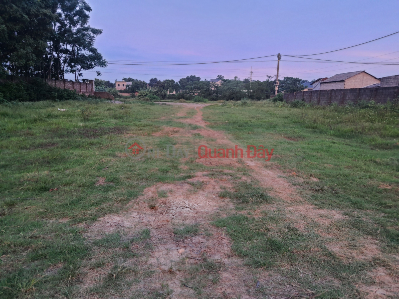 Property Search Vietnam | OneDay | Residential Sales Listings 1718m - 180 Ont - corner plot - field view - just over 4 million\\/m2 - Owner needs to sell plot of land area: 1718m²,