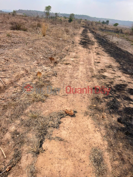 LÔ ĐẤT VỊ TRÍ ĐẸP- GIÁ TỐT BÁN NHANH LÔ ĐẤT TIỀM NĂNG TẠI Xã Ea wer Huyện Buôn Đôn, Đăk Lăk Niêm yết bán