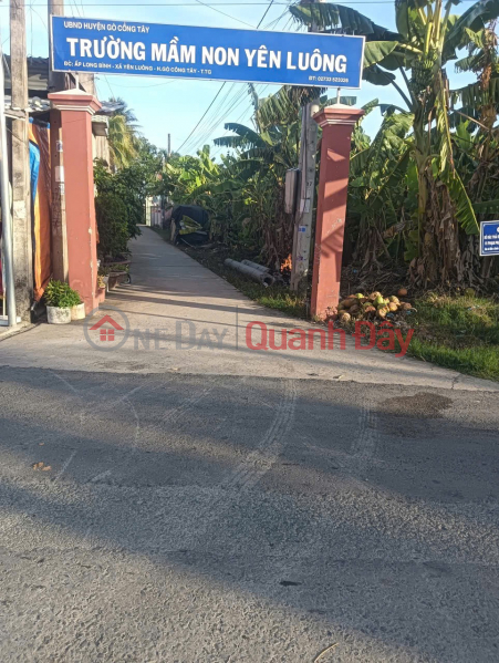 OWNER'S LAND - GOOD PRICE - Land for Sale in Long Binh Hamlet, Phu Thanh Commune, Dong Thap, Vietnam, Sales, đ 600 Million