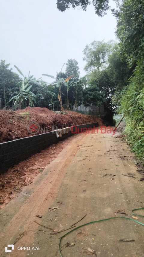 BEAUTIFUL LAND - GOOD PRICE - Need to Sell Quickly 2 Land Plots in Prime Location in Thach That District, Hanoi _0