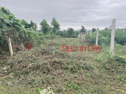 Owner Needs To Sell Land Plot - Preferential Price - In Hoa Ninh Commune, Hoa Vang District, Da Nang _0