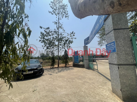 Owner Needs to Sell Land Plot, Beautiful Location, Phu Binh Commune, Tan Phu Town, Dong Nai _0