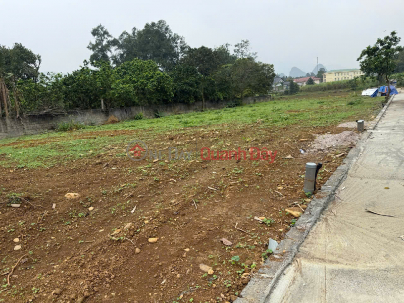 , Làm ơn chọn | Nhà ở | Niêm yết bán đ 536,5 triệu