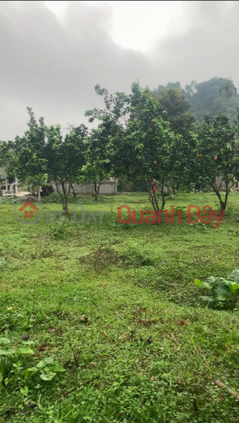 Property Search Vietnam | OneDay | | Niêm yết bán | Bán lô đất 1652,9m full thổ cư, Lương Sơn, Hòa Bình