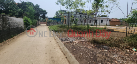 The family needs to sell 60m of land in Canh Chu, Binh Yen. The land surface of the alley is 3.5m wide. Price 1.4 billion _0