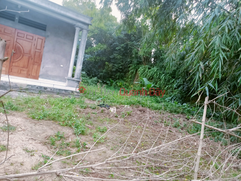 OWNER - FOR SALE Land In Cam Khe, Phu Tho, Vietnam Sales ₫ 700 Million