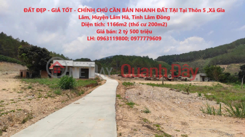 BEAUTIFUL LAND - GOOD PRICE - OWNER NEEDS TO SELL LAND QUICKLY AT Hamlet 5, Gia Lam Commune, Lam Ha District, Lam Dong Province _0