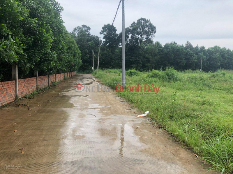 Urgent transfer of all land at the frontage of DT 821 road, Loc Giang commune, Duc Hoa district, Long An province. Sales Listings