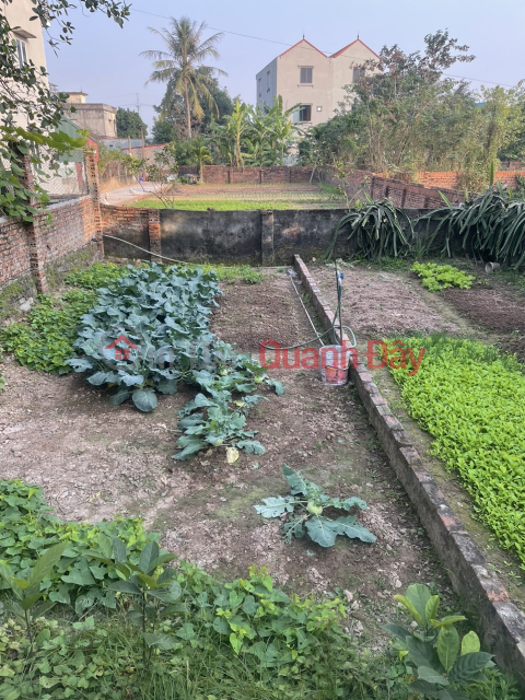 CHÍNH CHỦ CẦN BÁN 45 M2 ĐẤT XÃ THUẬN AN - GIA LÂM, GIÁ NHỈNH 2.X TỶ, LH 0985865658 _0