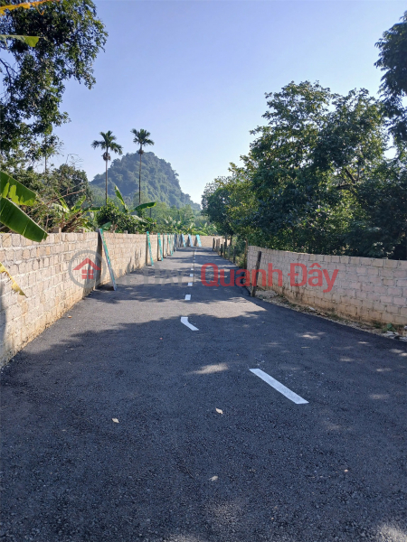 Please Select | Residential, Sales Listings, đ 365 Million