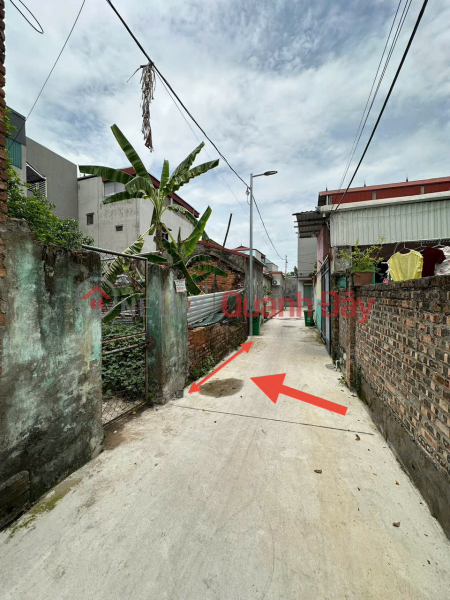 Land for sale in group 3, Quang Minh, Me Linh. Near industrial park and Quang Minh street. Sales Listings