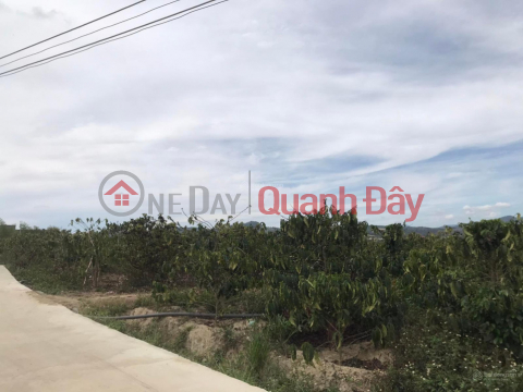 Land for sale 1.3 hectares in Ninh Gia, Duc Trong, Lam Dong, price 14.8 billion 6m concrete road _0