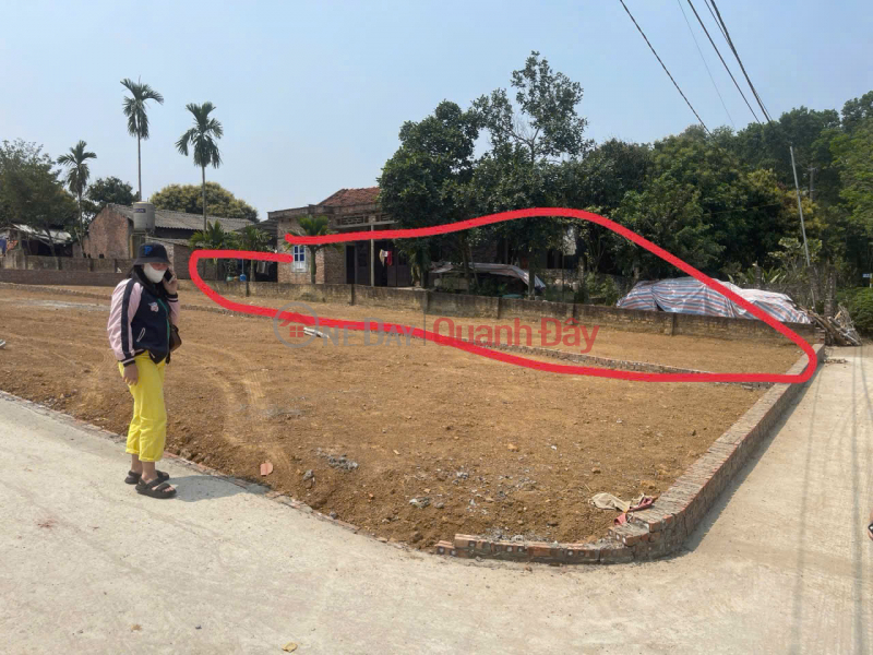 Property Search Vietnam | OneDay | Nhà ở | Niêm yết bán Chính chủ bán đất thôn Cẩm An, xã Cẩm Lĩnh, Ba Vì, Hà Nội - 232m2, , thích hợp đầu tư dài hạn