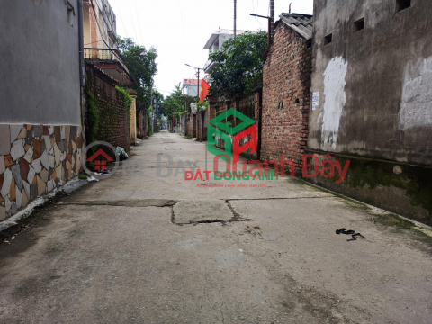 Land for sale in Thuy Ha Bac Hong - 50m - Corner lot - Clear road - Car _0